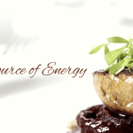 Food as a Source of Energy
